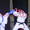 vicovaro-karate-dds32